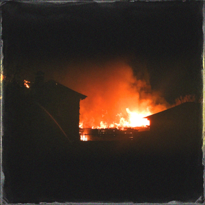 silk女性向天堂精品铃木一彻
