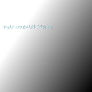 silk女性向天堂精品铃木一彻
