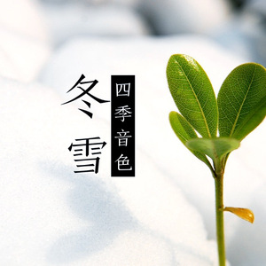 silk女性向天堂精品铃木一彻
